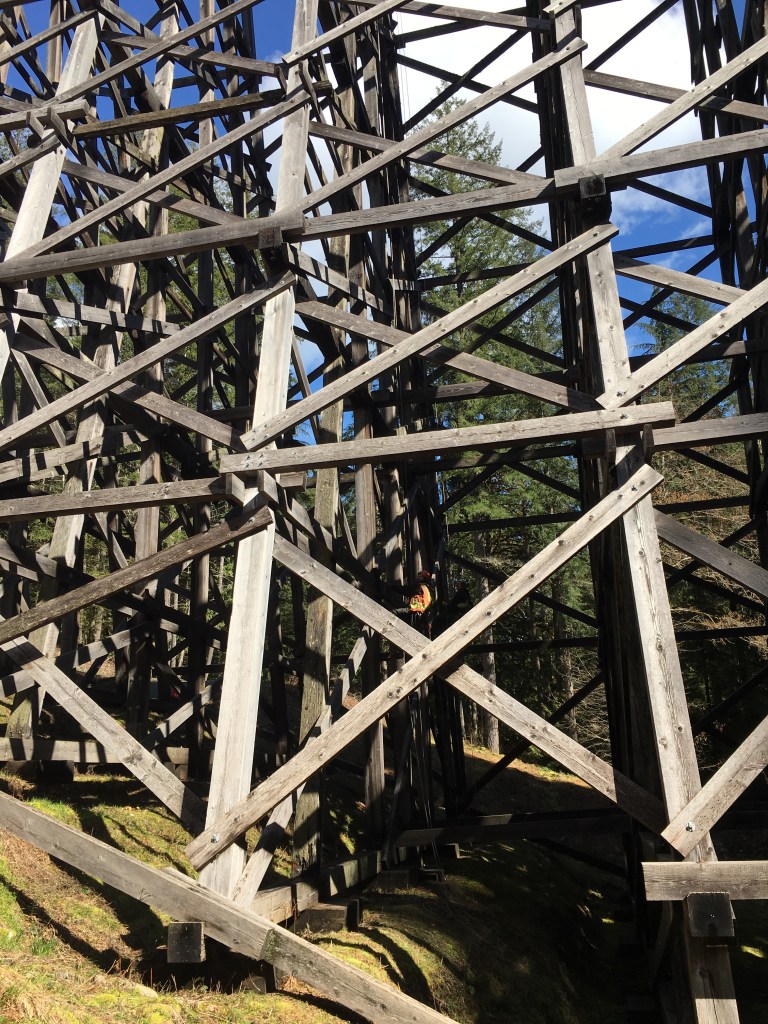 Vancouver Island Rope Access